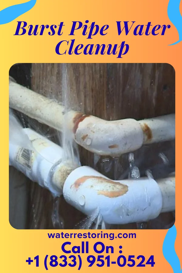 Burst Pipe Water Cleanup in West Hamburg, PA