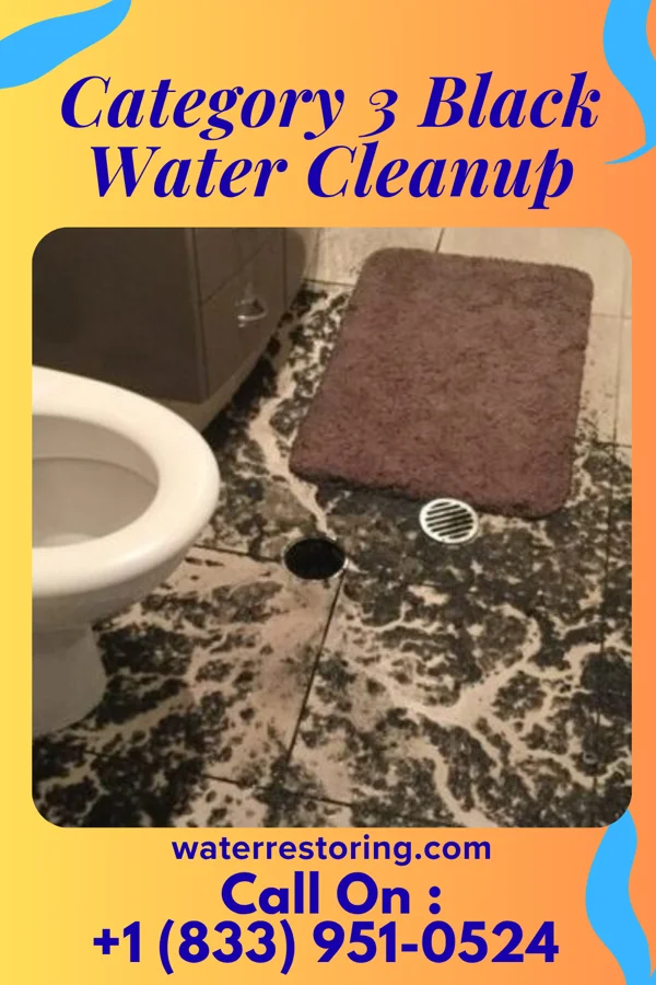 Category 3 Black Water Cleanup in West Hamburg, PA
