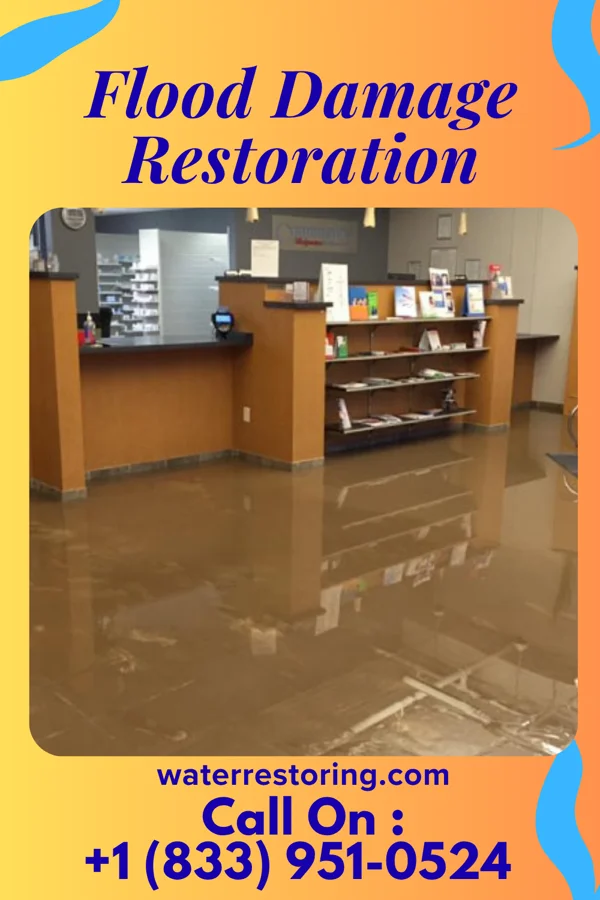 Flood Damage Restoration in West Hamburg, PA