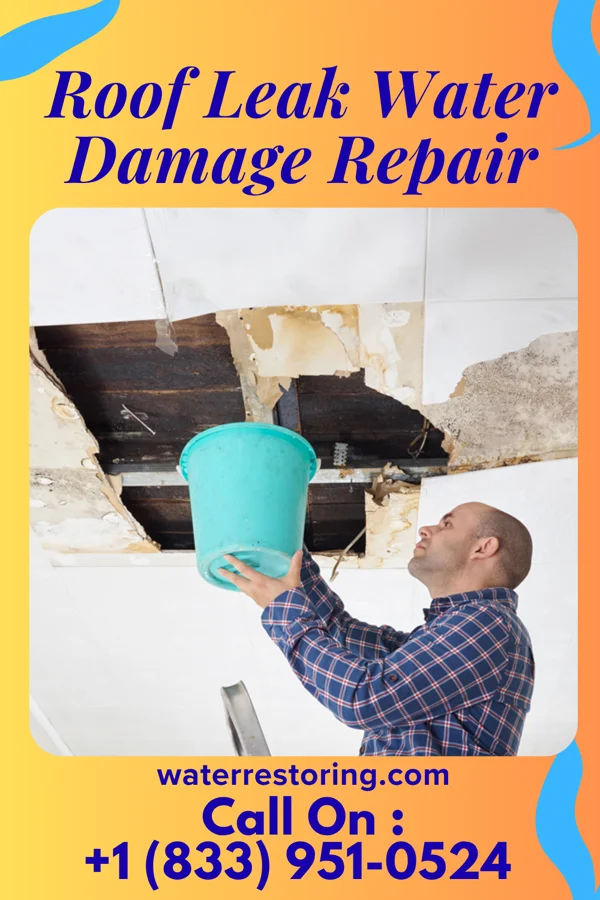 Roof Leak Water Damage Repair in West Hamburg, PA