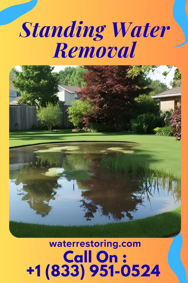 Standing Water Removal in West Hamburg, PA
